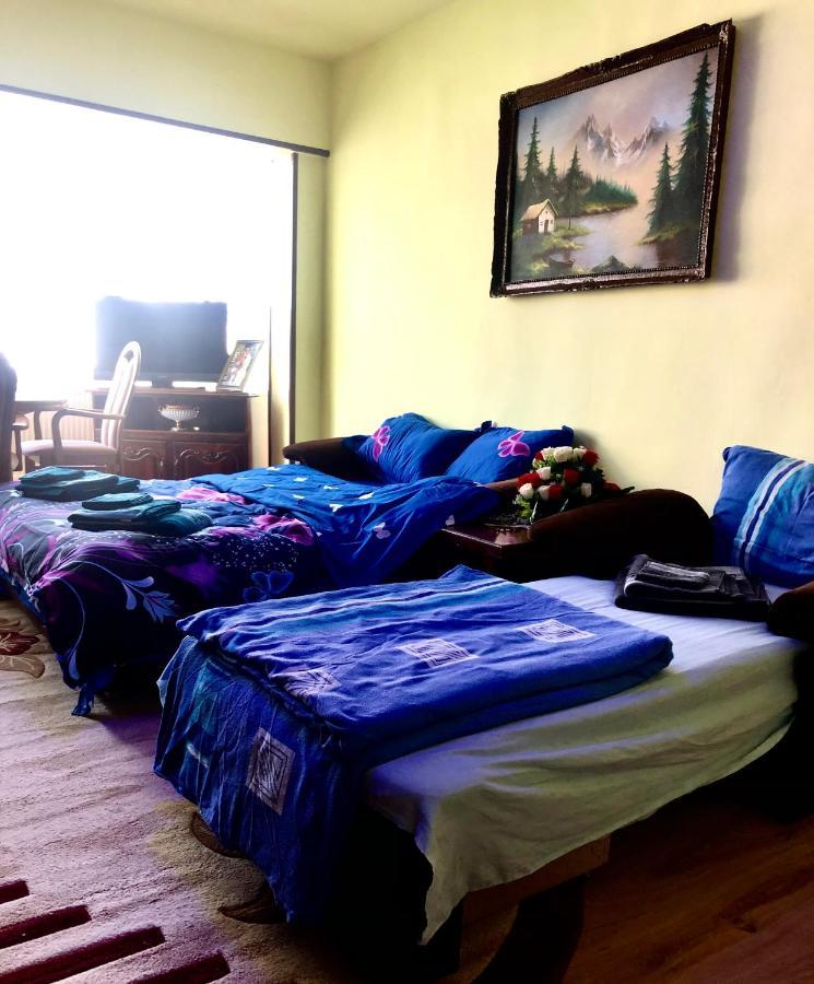 La Symo Apartament Straja Lupeni Lupeni  Экстерьер фото