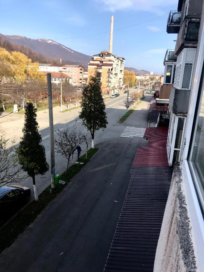 La Symo Apartament Straja Lupeni Lupeni  Экстерьер фото