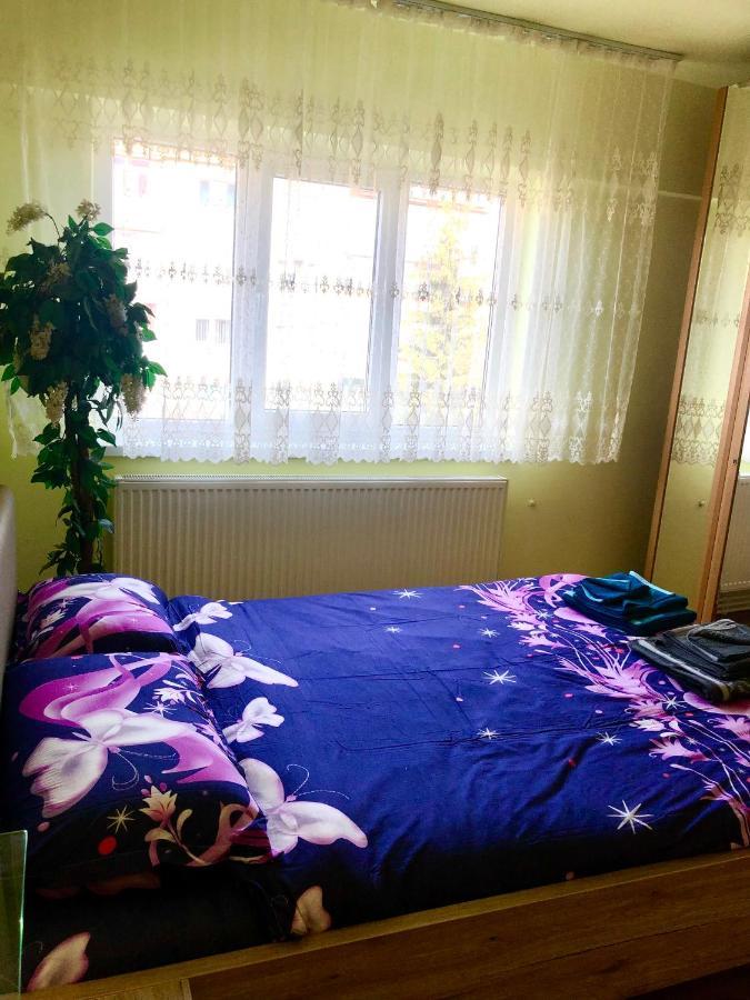La Symo Apartament Straja Lupeni Lupeni  Экстерьер фото