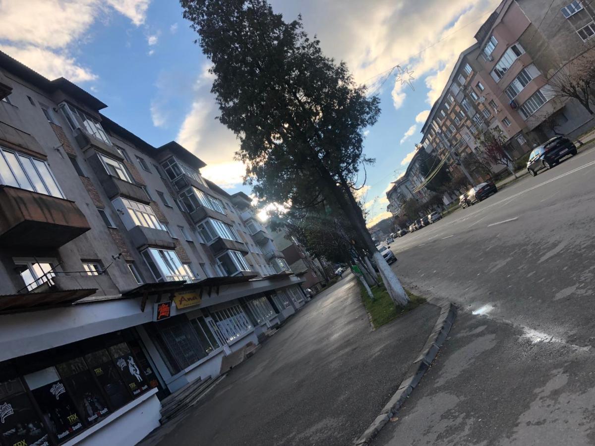 La Symo Apartament Straja Lupeni Lupeni  Экстерьер фото